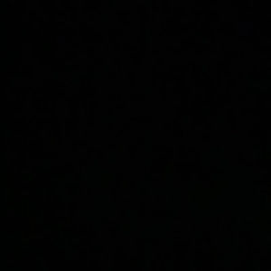 Meet your Posher, Kayden